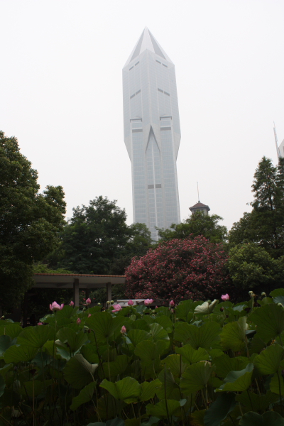 Shanghai0083