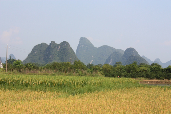 Guilin10007