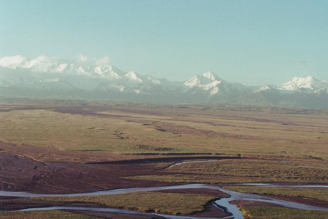Kyrgyz3