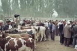 MarcheKashgar13