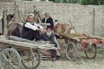 MarcheKashgar34