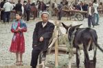 MarcheKashgar35