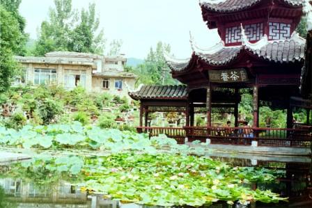 CI_chinetemple1