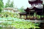 CI_chinetemple1