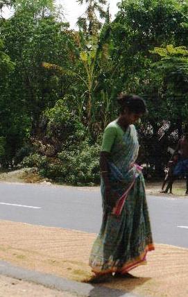 CI_inde14