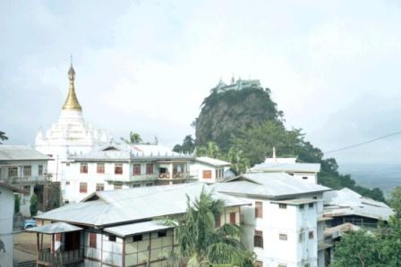 CI_burmapopa