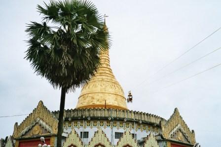 CI_Burmayangoon